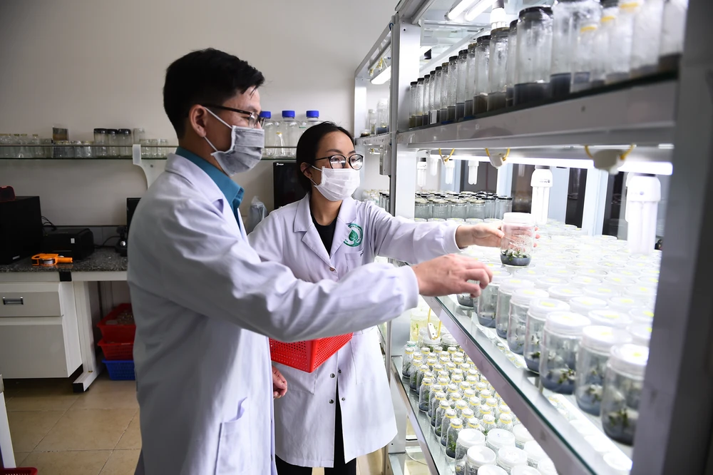 ĐH Quốc gia TP.HCM tuyển giáo sư thỉnh giảng