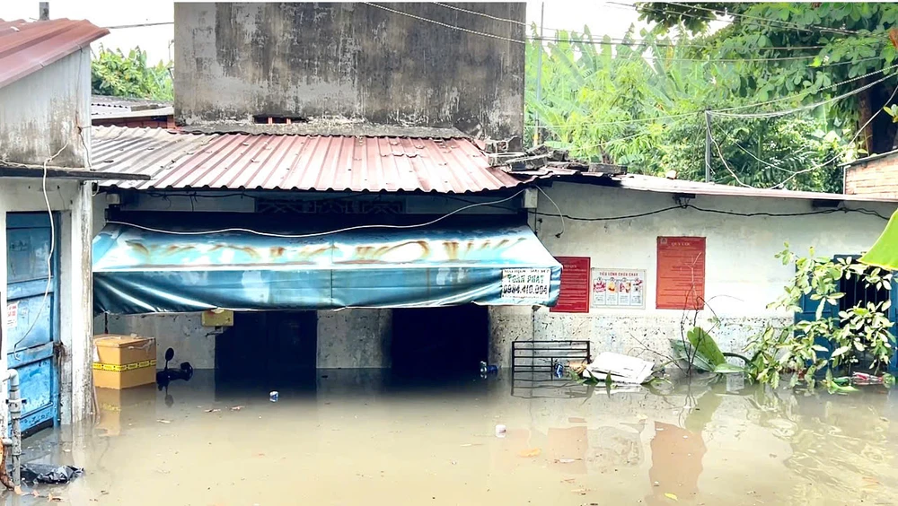 ngap-nang-o-chan-cau-vuot-go-dua-nguoi-dan-trang-tay-sau-con-mua (5).jpg