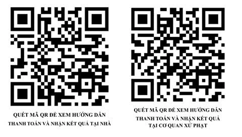 tp-hcm-huong-dan-nguoi-dan-nop-phat-vi-pham-giao-thong-truc-tuyen (2).jpg