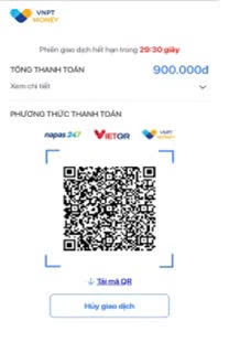 tp-hcm-huong-dan-nguoi-dan-nop-phat-vi-pham-giao-thong-truc-tuyen (9).jpg
