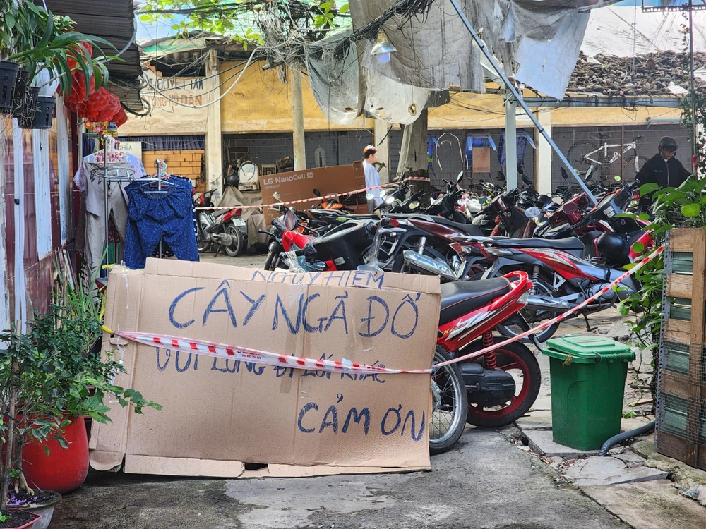 tp-hcm-cay-xanh-bat-goc-nghieng-sat-loi-di-o-cu-xa-thanh-da (1).jpg