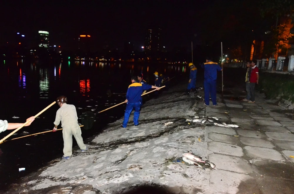 Hà Nội vớt nhiều tấn cá chết trong đêm ảnh 6