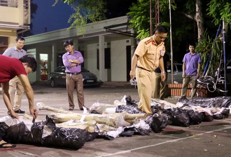 Vận chuyển hơn 500kg gỗ sưa, bị lực lượng chức năng bắt ảnh 1