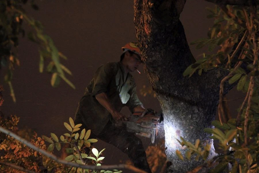 Việc di chuyển phải làm trong điều kiện ánh sáng yếu ớt...