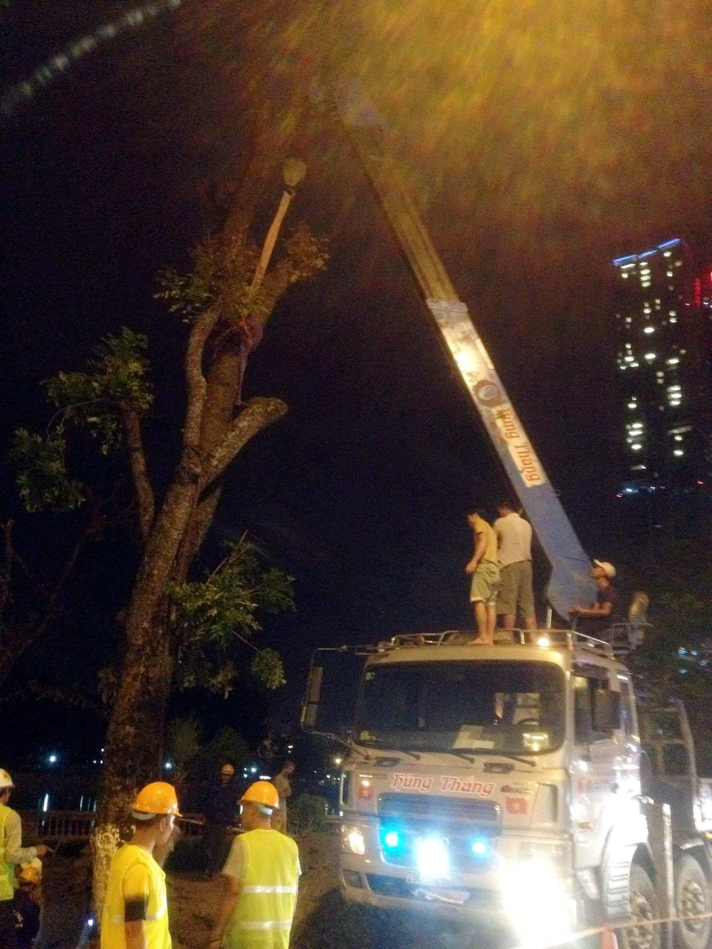 Thâu đêm di chuyển cây trên đường Kim Mã