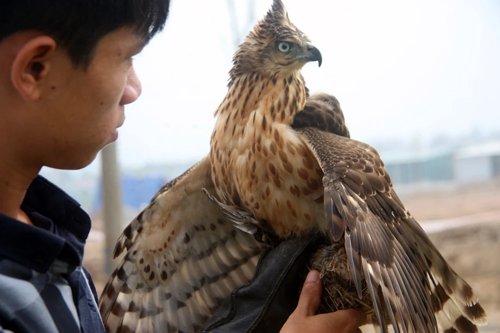 Hào hứng với hội thi chim ở Hà Nội ảnh 14