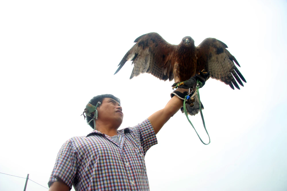 Hào hứng với hội thi chim ở Hà Nội ảnh 7