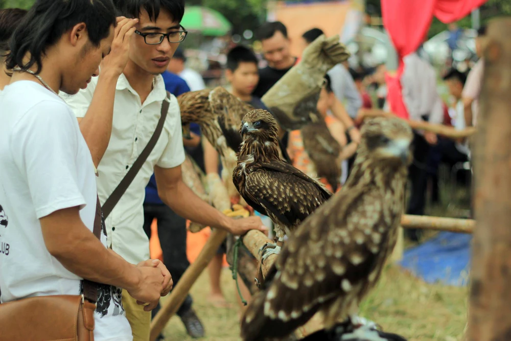 Hào hứng với hội thi chim ở Hà Nội ảnh 1