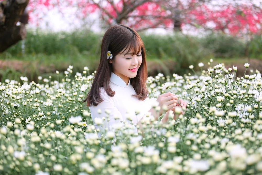 Thiếu nữ Hà thành 'đọ sắc' cùng hoa cúc họa mi ảnh 11