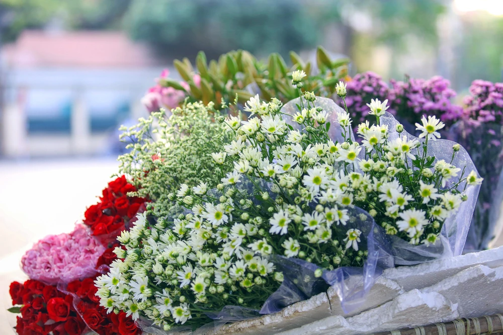 Thiếu nữ Hà thành 'đọ sắc' cùng hoa cúc họa mi ảnh 15