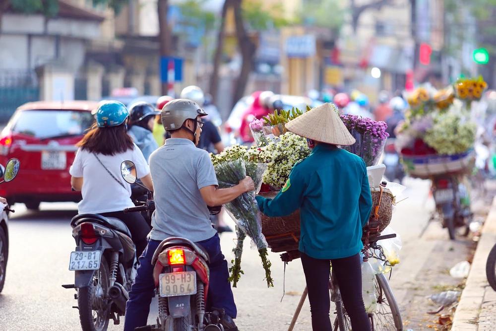 Thiếu nữ Hà thành 'đọ sắc' cùng hoa cúc họa mi ảnh 16