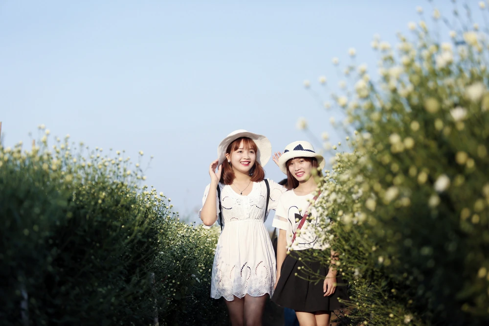 Thiếu nữ Hà thành 'đọ sắc' cùng hoa cúc họa mi ảnh 7