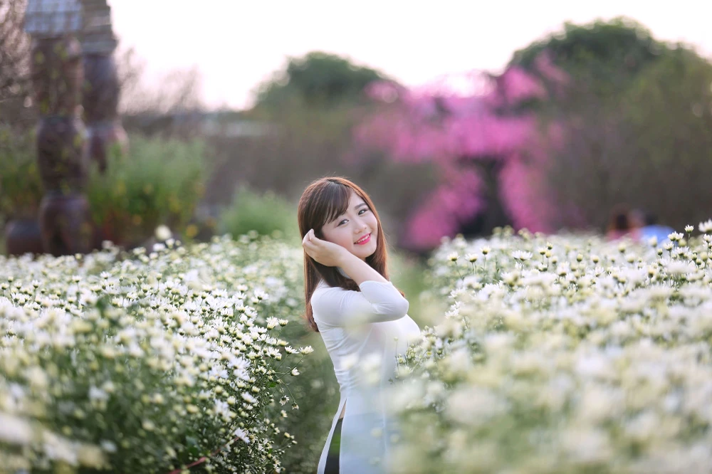 Thiếu nữ Hà thành 'đọ sắc' cùng hoa cúc họa mi ảnh 9