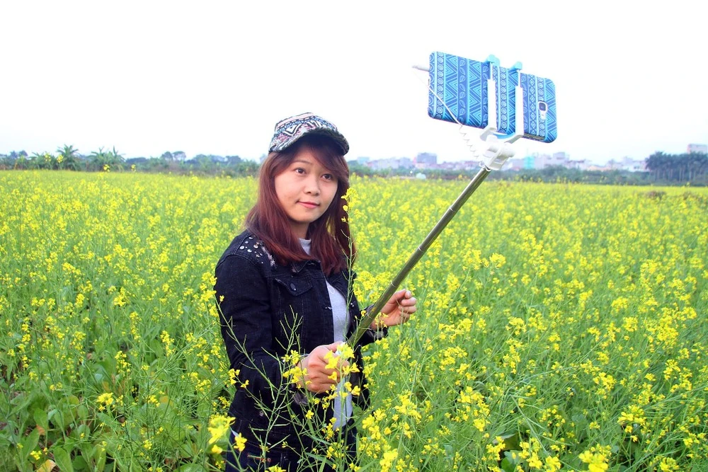 Đồng cải vàng làm mê mẩn giới trẻ Hà Thành ảnh 15