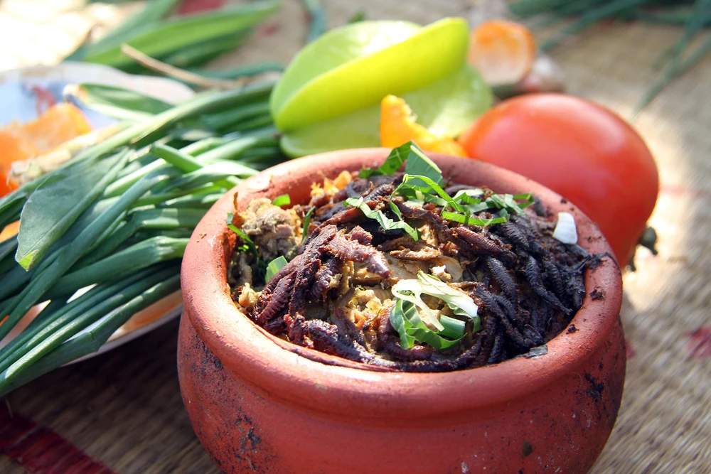 Độc đáo với món rồng đất vần niêu ảnh 13