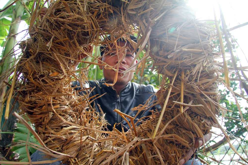 Độc đáo với món rồng đất vần niêu ảnh 10