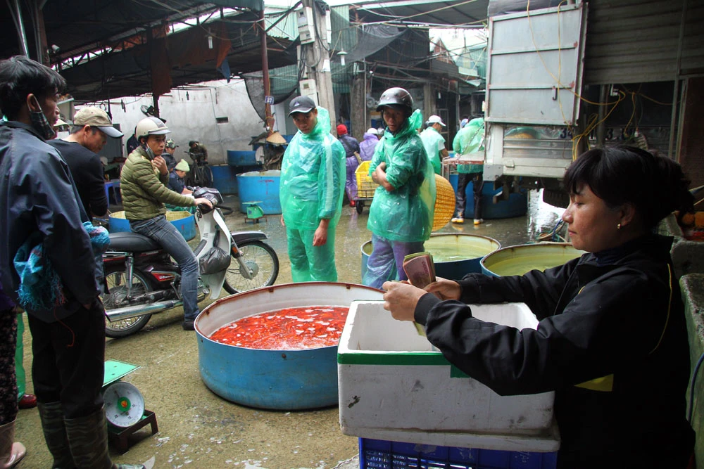 Nhộn nhịp chợ cá những ngày cúng ông Công, ông Táo ảnh 12