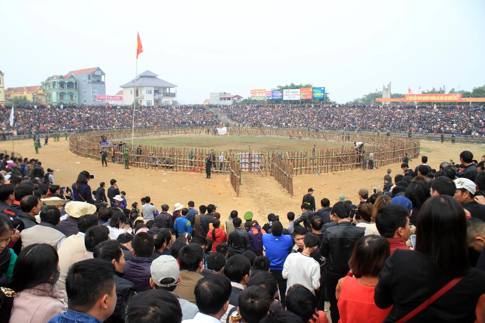 khán giả xem chọi trâu