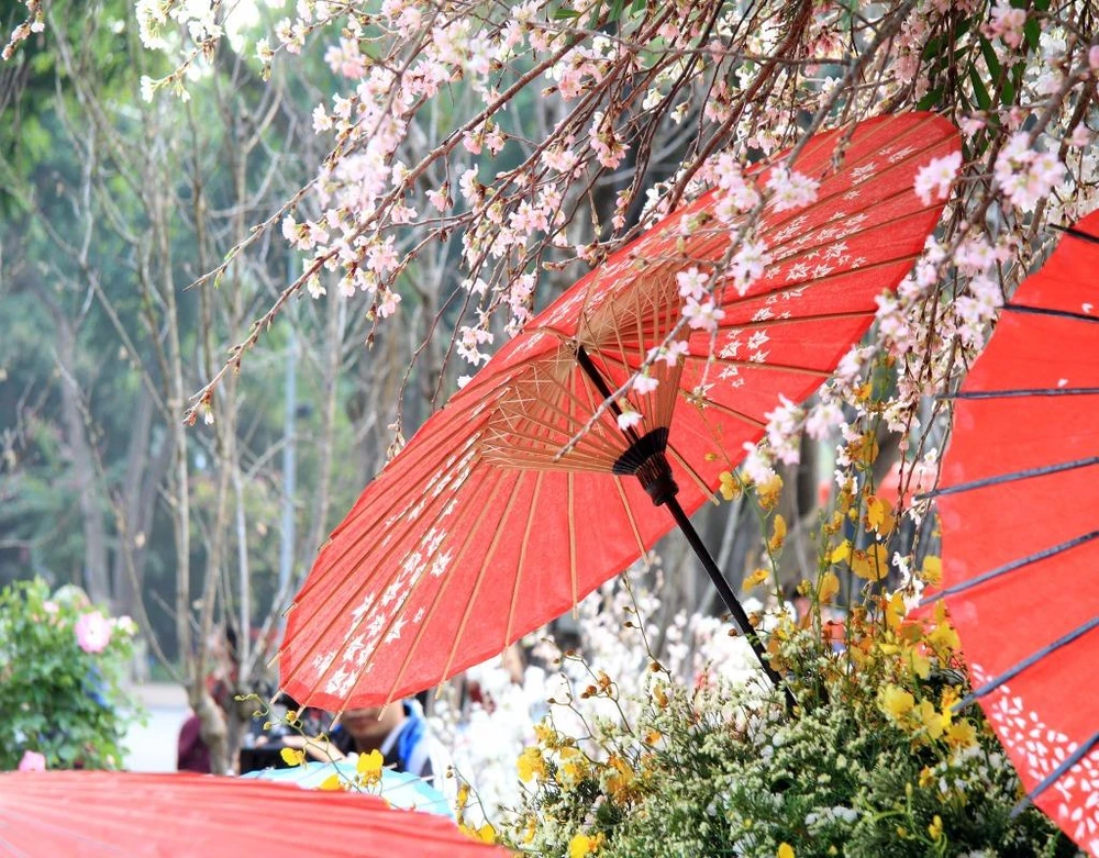 Theo lịch, sự kiện giao lưu văn hóa Nhật Bản và triển lãm hoa anh đào sẽ bắt đầu khai mạc từ 19h tối 10-3.