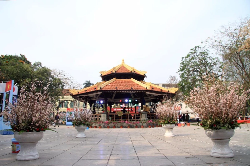 thêm 12.000 cành anh đào đã theo đường hàng không 