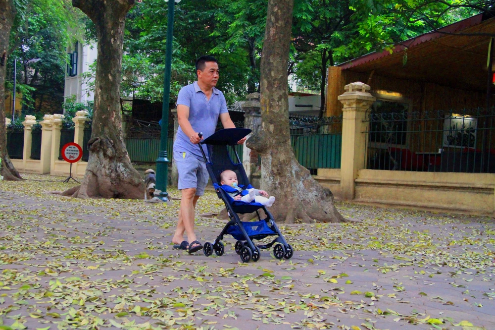 Hà Nội: Say đắm với mùa lá rụng ảnh 4