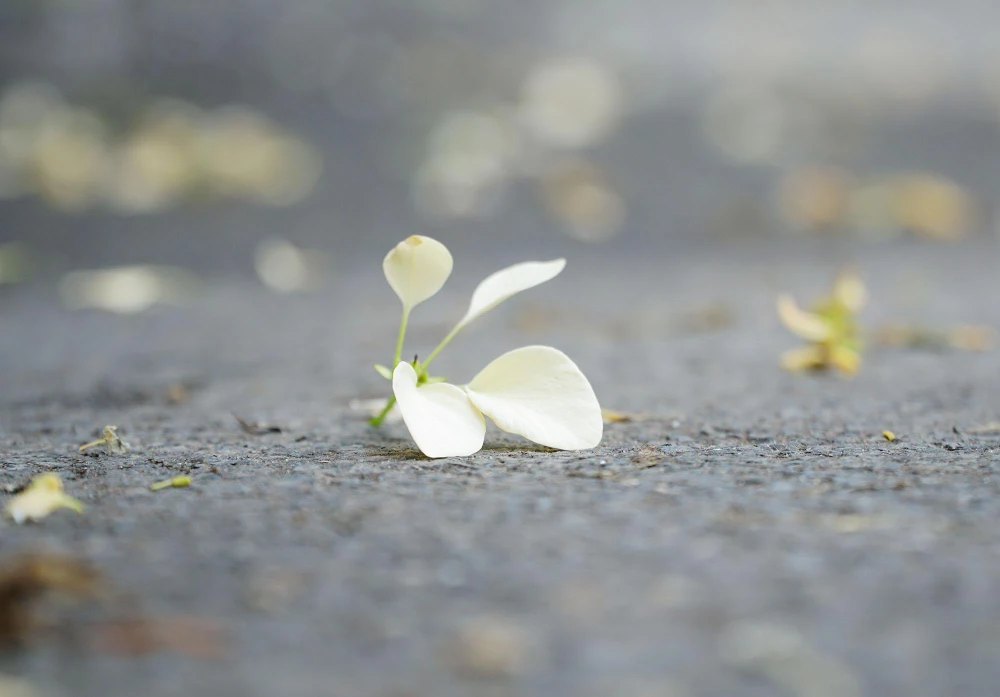 Cũng có người cho rằng, sở dĩ gọi tên là bún vì ngày xưa khi đói kém người dân hay cúng lễ, trong đó có bún rồi mang ra gốc cây này để cho những người ăn mày khắp nơi tới ăn.