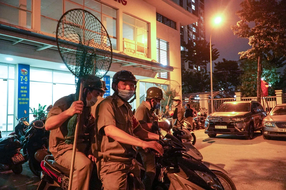 Đội đi tuần bắt chó thả rông của phường Kim Giang gồm 6 thành viên và một cán bộ thú y.