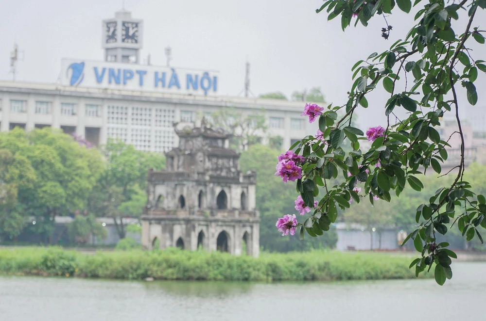 Những bông hoa bằng lăng tím biếc, tô điểm thêm vẻ đẹp cổ kính của tháp Rùa, một biểu tượng đặc trưng của Hà Nội.