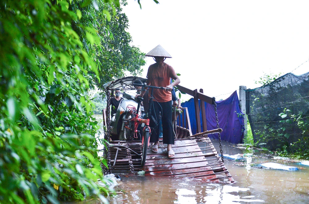 Khu vực bãi giữa cũng là nơi trồng trọt của rất nhiều người dân kinh doanh, buôn bán nhỏ lẻ các loại rau, củ và đó là khoản thu nhập chính của họ. Nước dâng cao khiến con đường huyết mạch để vận chuyển nông sản, đi lại của người dân gặp nhiều khó khăn.