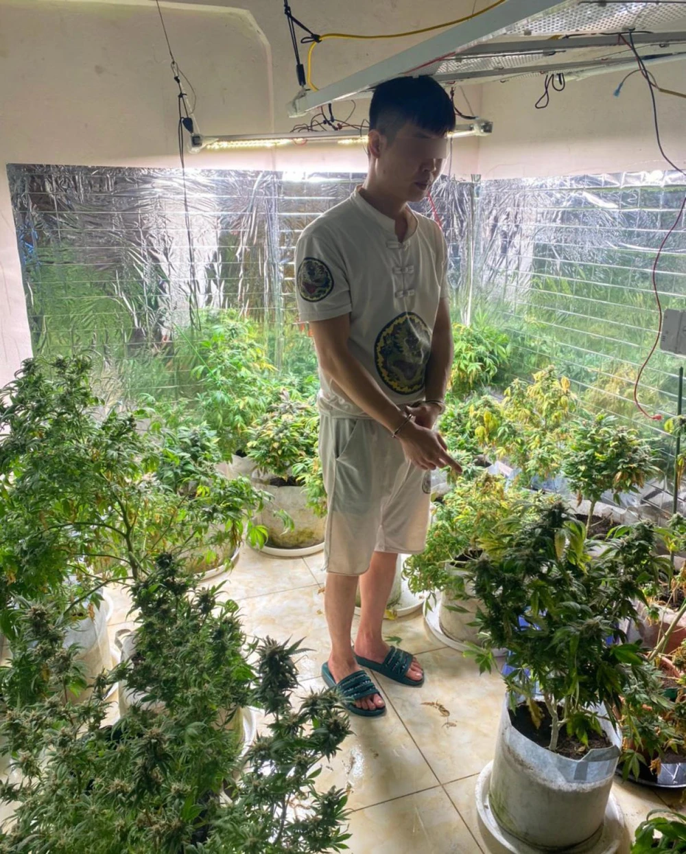 Nghi phạm Nguyễn TIến Quý và số cần sa trồng tại nhà. Ảnh CTV