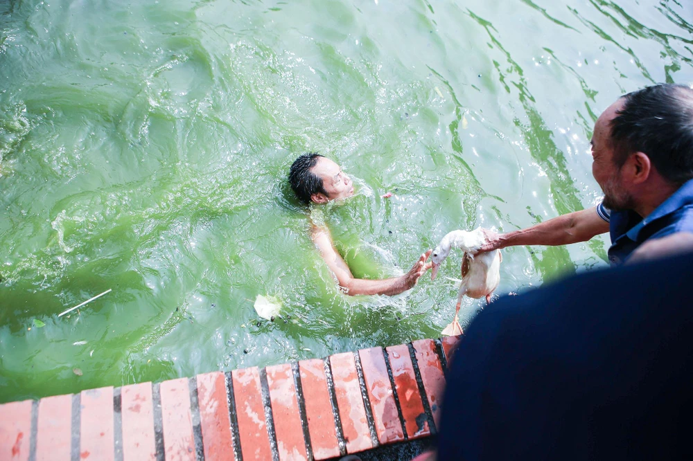 Sau khoảng gần 30 phút quần nhau dưới nước, toàn bộ các con vịt đã bị tóm gọn.