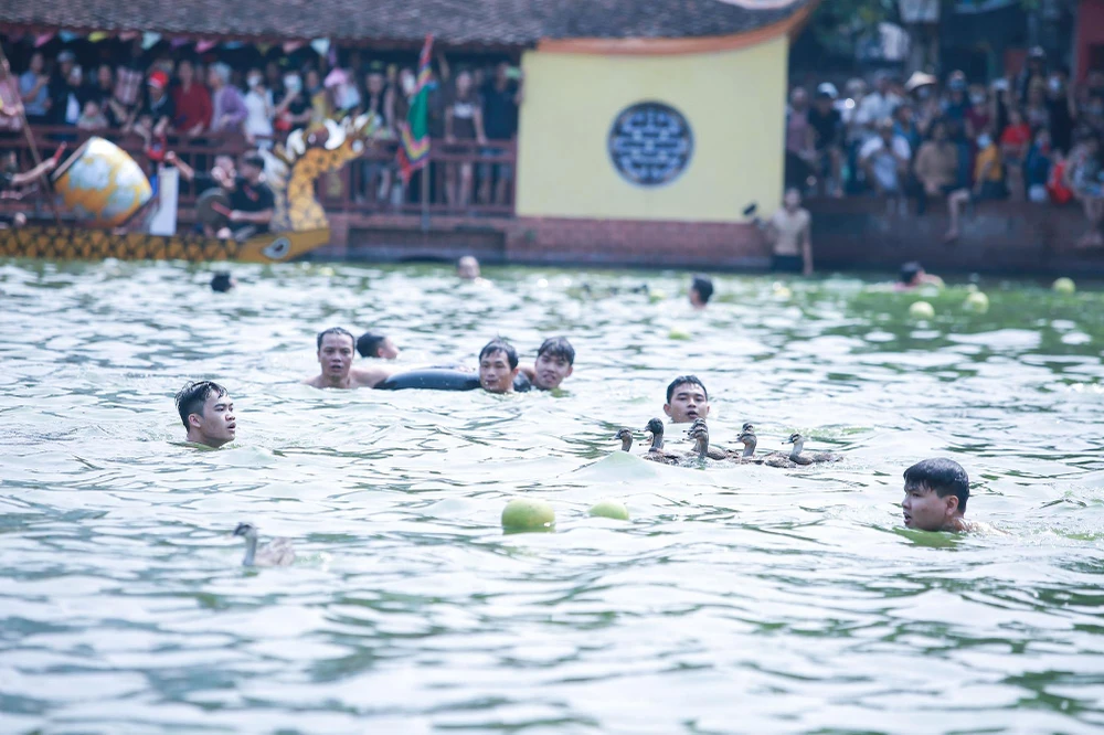 Phía bờ hồ bên kia, nhóm thanh niên to khỏe vừa bơi vừa đuổi theo hai chú vịt. Tiếng kêu quàng quạc, tiếng vỗ cánh nháo nhác của đàn vịt càng như khiêu khích các đội tham gia.