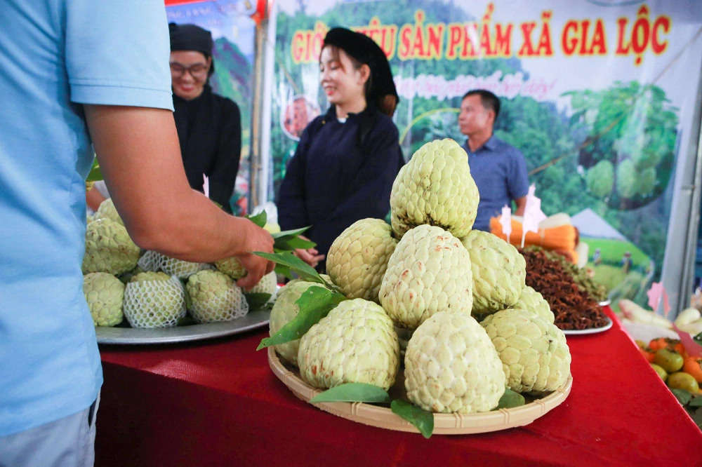 Đồng thời là nơi giới thiệu các tiềm năng, lợi thế, các chính sách ưu đãi của Nhà nước nhằm thu hút các nhà đầu tư vào phát triển nông nghiệp, nông thôn; từng bước xây dựng chuỗi giá trị cho một số sản phẩm chủ lực theo hướng bền vững, thu hút du khách để phát triển du lịch sinh thái, du lịch miệt vườn... Đồng thời là nơi giới thiệu các tiềm năng, lợi thế, các chính sách ưu đãi của Nhà nước nhằm thu hút các nhà đầu tư vào phát triển nông nghiệp, nông thôn; từng bước xây dựng chuỗi giá trị cho một số sản phẩm chủ lực theo hướng bền vững, thu hút du khách để phát triển du lịch sinh thái, du lịch miệt vườn...