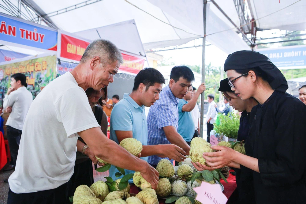 Hội chợ lần này có 20 gian hàng của các xã, thị trấn trên địa bàn huyện, với các sản phẩm na và nông đặc sản của huyện. Hội chợ Na Chi Lăng năm 2022 là nơi quảng bá, giới thiệu các loại trái cây đặc sản và các sản phẩm nông nghiệp đặc trưng của huyện Chi Lăng; là nơi tôn vinh thành quả lao động của bà con nông dân; giữ gìn và nâng cao thương hiệu; hỗ trợ tạo điều kiện cho doanh nghiệp tìm kiếm cơ hội hợp tác đàu tư, liên kết phát triển sản xuất kinh doanh... Hội chợ lần này có 20 gian hàng của các xã, thị trấn trên địa bàn huyện, với các sản phẩm na và nông đặc sản của huyện. Hội chợ Na Chi Lăng năm 2022 là nơi quảng bá, giới thiệu các loại trái cây đặc sản và các sản phẩm nông nghiệp đặc trưng của huyện Chi Lăng; là nơi tôn vinh thành quả lao động của bà con nông dân; giữ gìn và nâng cao thương hiệu; hỗ trợ tạo điều kiện cho doanh nghiệp tìm kiếm cơ hội hợp tác đàu tư, liên kết phát triển sản xuất kinh doanh...