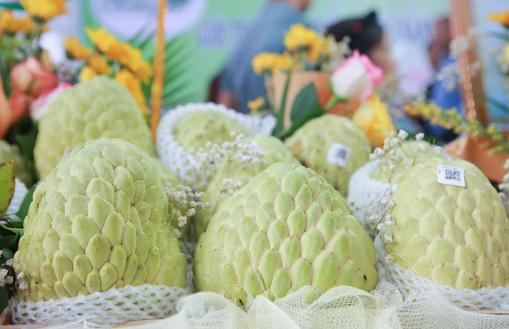 Trước đó, UBND tỉnh Lạng Sơn đã có quyết định về việc phê duyệt kết quả đánh giá, phân hạng và cấp giấy chứng nhận sản phẩm OCOP tỉnh Lạng Sơn năm 2022 cho 6 sản phẩm gồm: Na Chi Lăng; Hoa hồi Cao khô Vạn Linh; Trà diếp cá Lụa Vy, Khau nhục Bà Phin đạt hạng 3 sao và 4 sao và Quyết định về việc chứng nhận vườn na mẫu năm 2022 và Quyết định chứng nhận quả na đẹp chất lượng năm 2022. Trước đó, UBND tỉnh Lạng Sơn đã có quyết định về việc phê duyệt kết quả đánh giá, phân hạng và cấp giấy chứng nhận sản phẩm OCOP tỉnh Lạng Sơn năm 2022 cho 6 sản phẩm gồm: Na Chi Lăng; Hoa hồi Cao khô Vạn Linh; Trà diếp cá Lụa Vy, Khau nhục Bà Phin đạt hạng 3 sao và 4 sao và Quyết định về việc chứng nhận vườn na mẫu năm 2022 và Quyết định chứng nhận quả na đẹp chất lượng năm 2022.