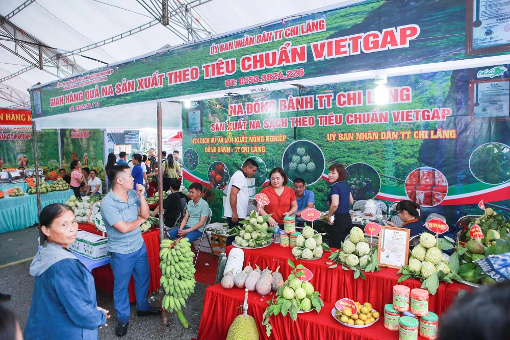 Phát biểu tại buổi lễ, ông Lương Trọng Quỳnh, Phó Chủ tịch UBND tỉnh Lạng Sơn đã nhấn mạnh, cấp ủy, chính quyền huyện Chi Lăng cần chủ động và quyết tâm cao trong thực hiện tái cơ cấu nông nghiệp theo tinh thần chỉ đạo chung của Chính phủ, của tỉnh. Đồng thời, tập trung nguồn lực phát triển các cơ sở sơ chế, chế biến sản phẩm nông sản trên địa bàn; đẩy mạnh liên kết sản xuất và tiêu thụ sản phẩm, tạo chuỗi liên kết sản xuất để nâng cao chất lượng, giá trị sản phẩm; tăng cường quảng bá, xúc tiến tiêu thụ sản phẩm, tập trung phát triển kinh tế nông nghiệp thay vì sản xuất nông nghiệp. Phát biểu tại buổi lễ, ông Lương Trọng Quỳnh, Phó Chủ tịch UBND tỉnh Lạng Sơn đã nhấn mạnh, cấp ủy, chính quyền huyện Chi Lăng cần chủ động và quyết tâm cao trong thực hiện tái cơ cấu nông nghiệp theo tinh thần chỉ đạo chung của Chính phủ, của tỉnh. Đồng thời, tập trung nguồn lực phát triển các cơ sở sơ chế, chế biến sản phẩm nông sản trên địa bàn; đẩy mạnh liên kết sản xuất và tiêu thụ sản phẩm, tạo chuỗi liên kết sản xuất để nâng cao chất lượng, giá trị sản phẩm; tăng cường quảng bá, xúc tiến tiêu thụ sản phẩm, tập trung phát triển kinh tế nông nghiệp thay vì sản xuất nông nghiệp.