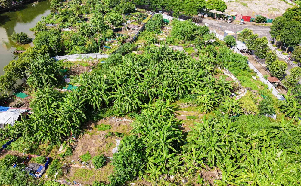 Phía bên trong, người dân tận dụng để canh tác.