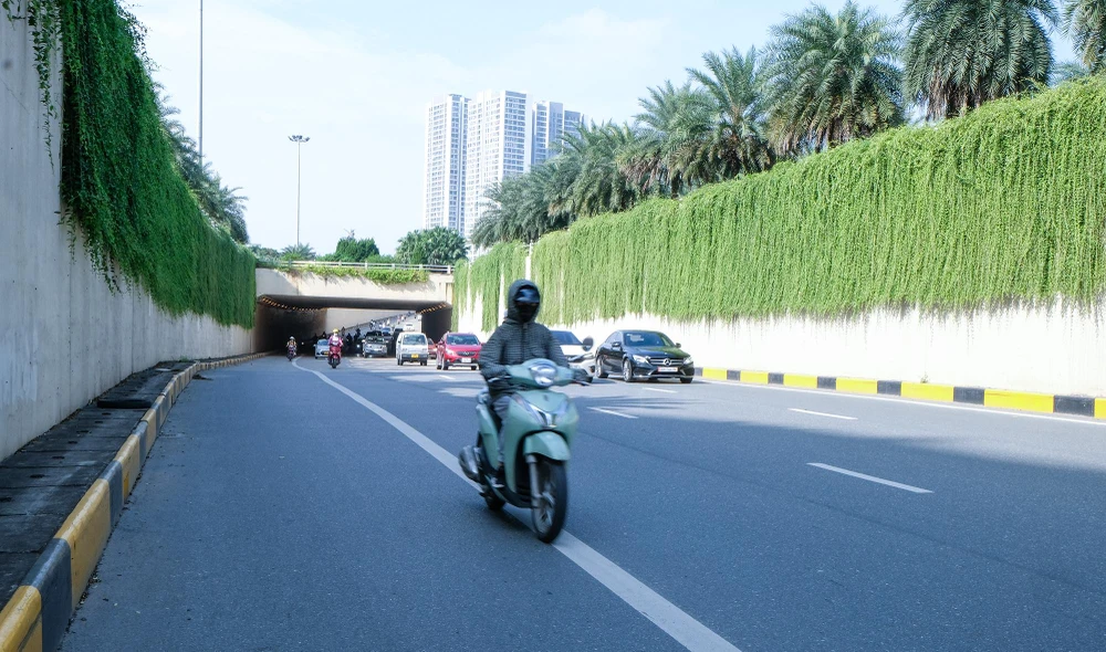 Hàng cây xanh dài tới 30 m, tạo khung cảnh tươi mát cho con đường.