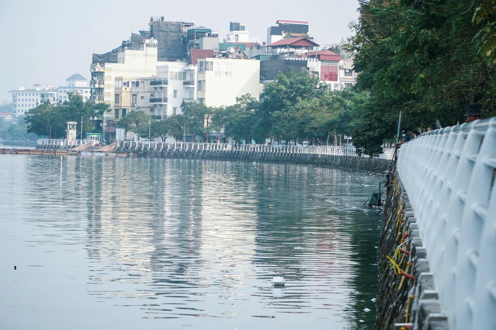 Theo ghi nhận vào chiều ngày 6-11, một góc hồ Tây, đoạn qua đường Trích Sài và Nguyễn Đình Thi, hiện tượng cá chết tiếp tục xảy ra.