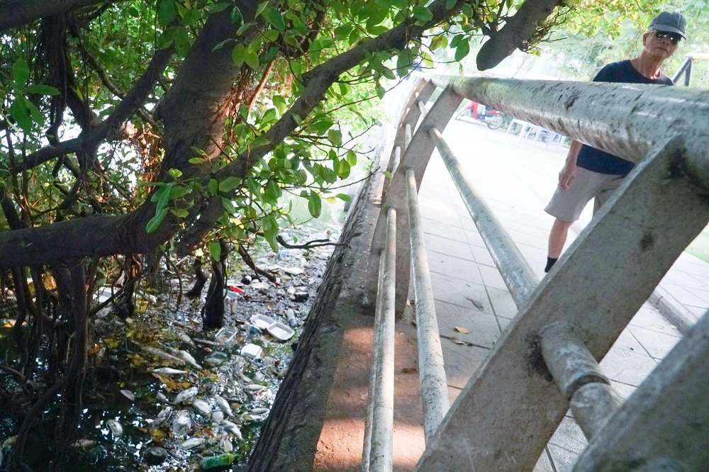 Người dân ở đây cho biết, tình trạng cá chết đã xuất hiện cách đây khoảng một tuần. Trước đó, vào đầu tháng 10, khoảng gần 1 tấn cá ở đây cũng chết nổi lềnh bềnh khắp mặt nước.