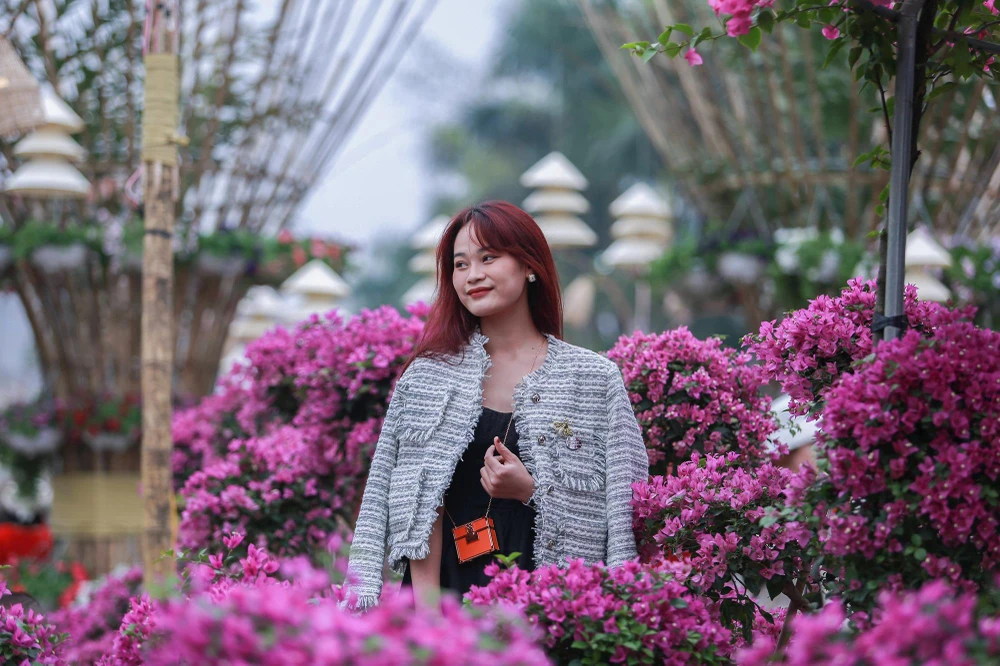 Mê Linh vốn là địa phương nổi tiếng với nghề trồng hoa cung cấp một lượng hoa lớn cho TP Hà Nội mỗi ngày, đặc biệt là vào dịp lễ, tết.