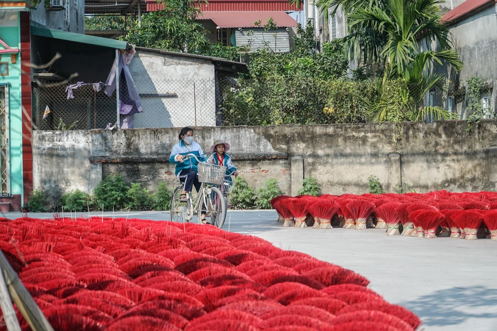 Những ngày này, khắp đường làng ngõ xóm ở làng hương Quảng Phú Cầu (huyện Ứng Hòa, TP Hà Nội), không khó để bắt gặp hình ảnh những đóa tăm hương rực sắc đỏ "bung nở" đón năm mới.