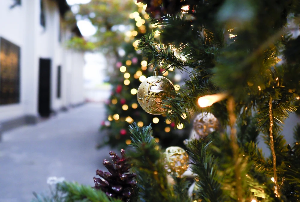 Nhiều cây thông lớn được bố trí dọc theo lối vào nhà thờ. Nhiều cây thông lớn được bố trí dọc theo lối vào nhà thờ.