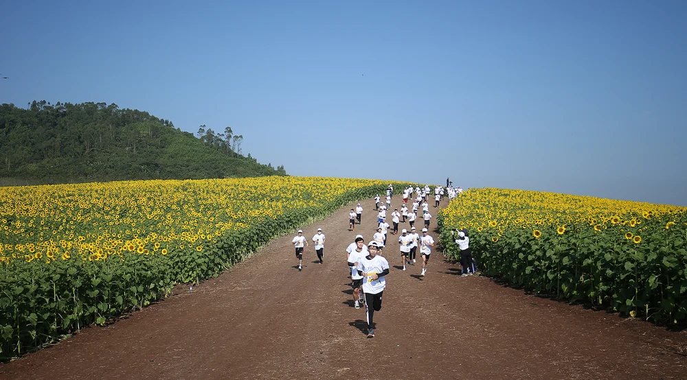 S-Race góp phần truyền cảm hứng đến 25 triệu học sinh, sinh viên khắp Việt Nam. Ảnh: CTV