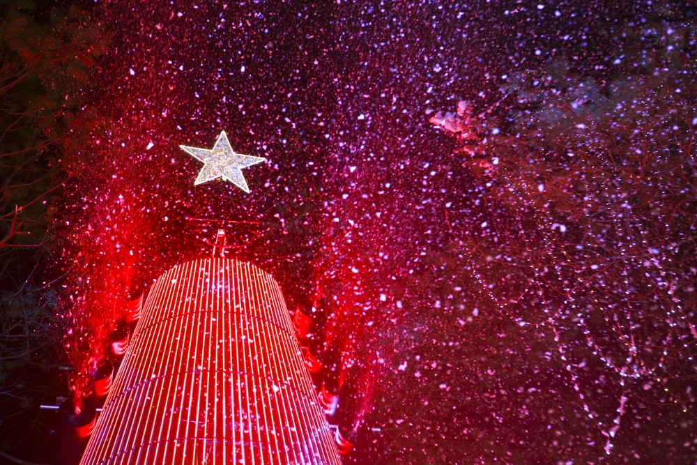 Tuy không phải là lễ truyền thống của Việt Nam nhưng nhiều năm gần đây, lễ Giáng sinh đã được tổ chức rất cầu kỳ và trang trọng.