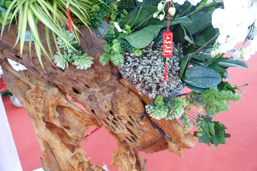 Kèm theo cây hoa lan, người làm sản phẩm còn trồng thêm các loài cây hoa khác để tạo nên sự tự nhiên.