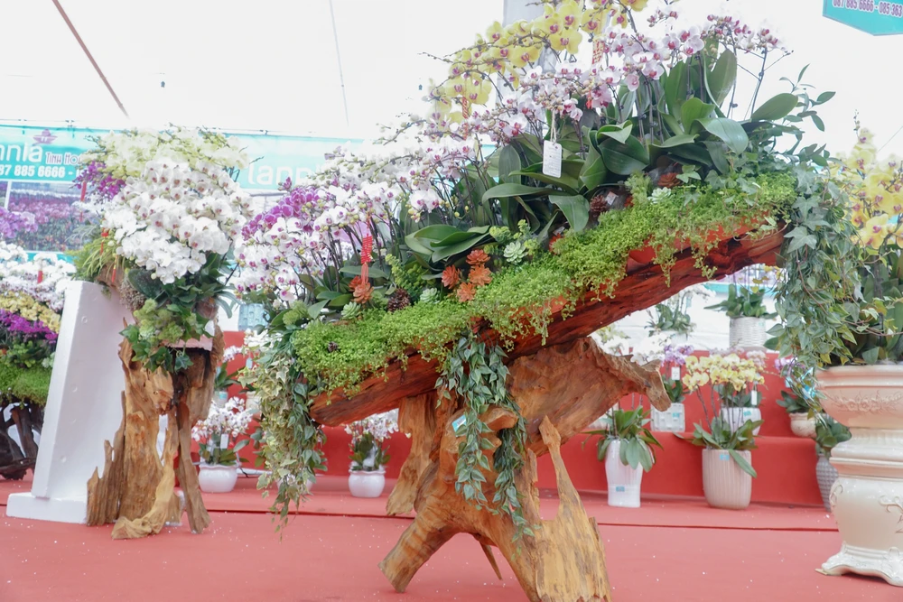 Theo anh Ngô Văn Nghiệp (Nhân viên bán hàng) cho biết, so với những năm trước có thể nhu cầu người chơi thấp hơn, nhưng thị trường hoa lan hồ điệp hiện tại rất sôi động, số lượng bán ra của cửa hàng mỗi ngày tăng cao.