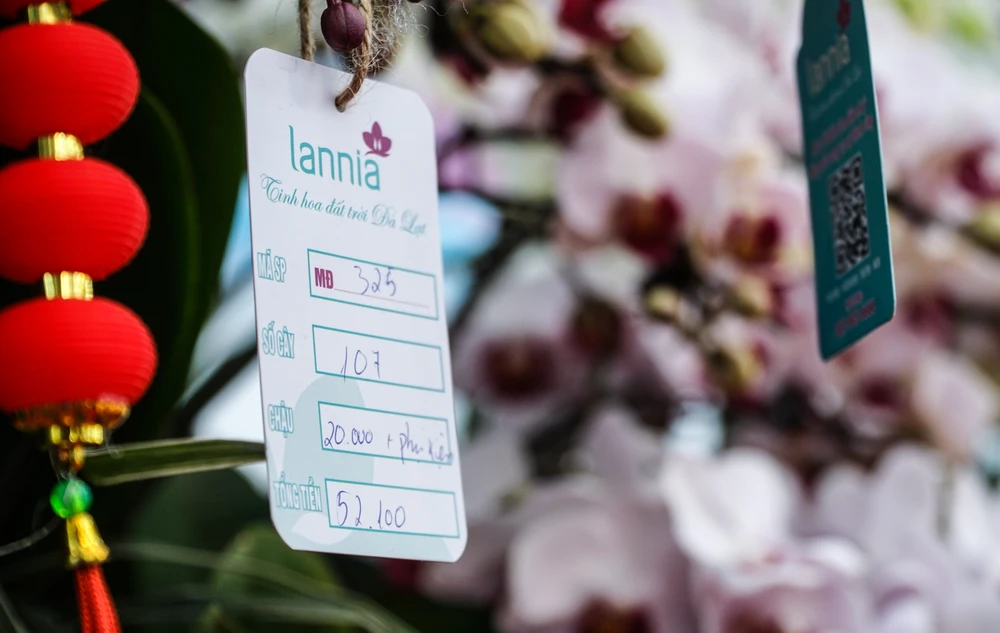 Giá bán của mỗi tác phẩm hoa lan nằm trên gỗ lũa hiện nay từ gần 20 triệu đồng đến trên 50 triệu đồng.