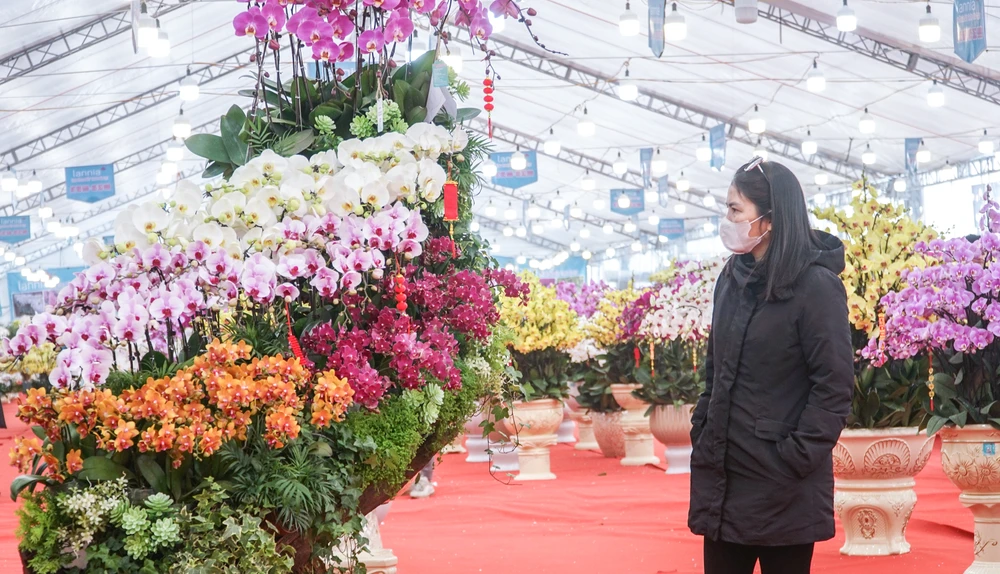 Qúa trình tạo nên những tác phẩm lan được trồng trên cây gỗ lũa sẽ mất khoảng vài giờ đồng tùy vào kích thước, số lượng cây hoa lan. Năm nay sản phẩm lan nằm gỗ lũa được nhiều khách hàng ưa chuộng.