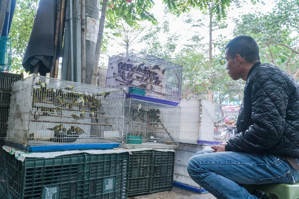 Giá của mỗi con chim phóng sinh được bán cho khách hàng từ 15.000-20.000 đồng.